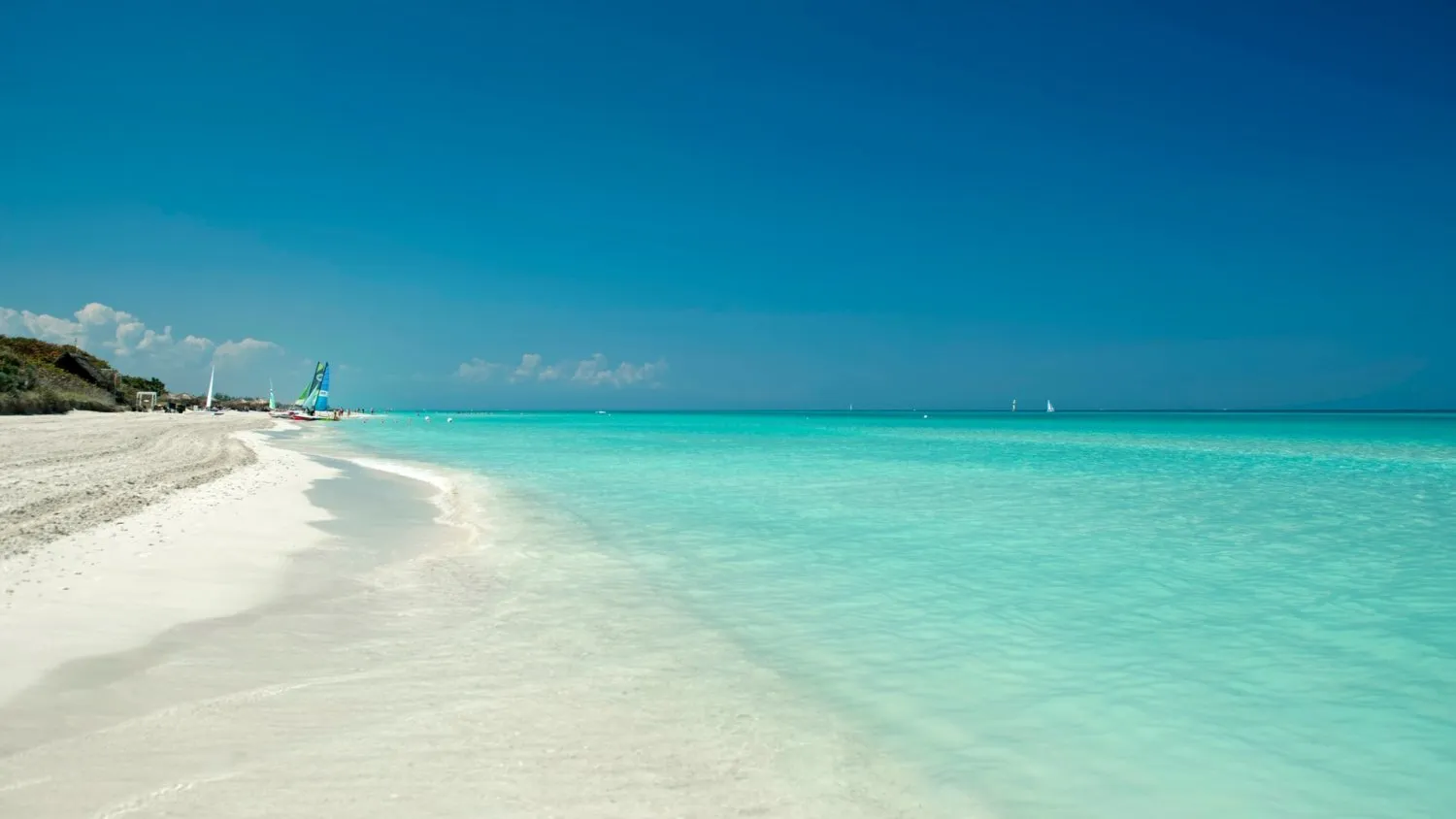 Descripción de la imagen 1